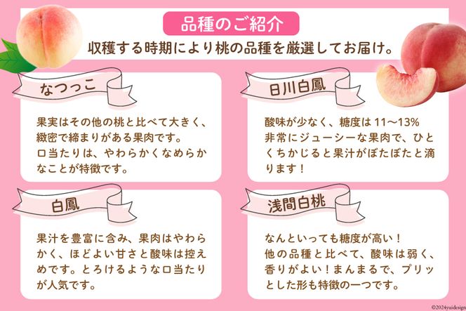 【2026年発送】 桃 2kg (5～8玉) アソート もも モモ 2キロ フルーツ 果物 くだもの 人気 旬 山梨県産 産地直送 季節限定 数量限定 期間限定発送 贈答 ジューシー なつっこ 日川白鳳 白鳳 浅間白桃[OUTTA REACH JAPAN 山梨県 韮崎市 20742862]