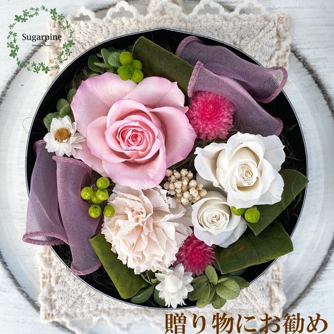 yʌtszAJ012-1 vU[uht[AW yK/[Yp[zts VK[pC