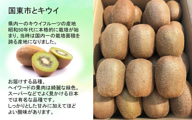 未追熟 キウイフルーツ 36玉（約3.6kg）_2302R