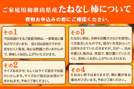 先行予約【秋の味覚】和歌山 産 の たねなし 柿 ご家庭用 約 7.5kg  厳選館《2026年9月上旬-11月上旬頃より出荷》和歌山県 日高川町 柿 カキ かき ジューシー フルーツ たねなし---wshg_tmt252_9j11j_25_15000_75---