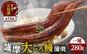 【全12回定期便】薩摩大とろ鰻蒲焼特大サイズ一尾　K190-T04