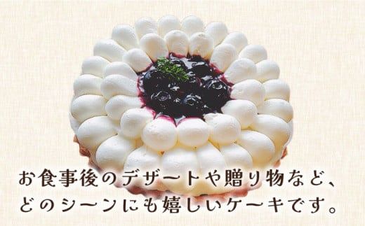 【2026年1月～発送】【舌にあふれる季節感♪こだわりのサクサクタルト】ブルーベリーとムースフロマージュのタルト / タルト ブルーベリー ムース 18cm 南島原市 / アトリエジジ [SAA005] 