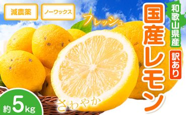 レモン 訳あり 国産 レモン 5kg (サイズ混合) ノーワックス 減農薬 どの坂果樹園[2025年2月上旬-5月末頃より出荷] 和歌山県 日高川町 レモン れもん 檸檬 家庭用 旬 新鮮 果物 柑橘 フルーツ 訳あり 大容量 Lemon remon 送料無料---wshg_248_ac25_23_10000_5kg---