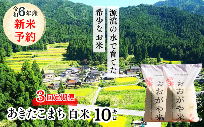 【3回定期便】白米 10kg 令和6年産 あきたこまち 岡山 「おおがや米」生産組合 G-bg-BDZA