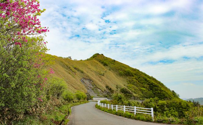 山荘しらさ　ペア宿泊券