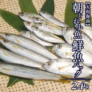 【単月お届け】大和海商の朝どれ鮮魚小魚パック 2.4kg N072-YA2229