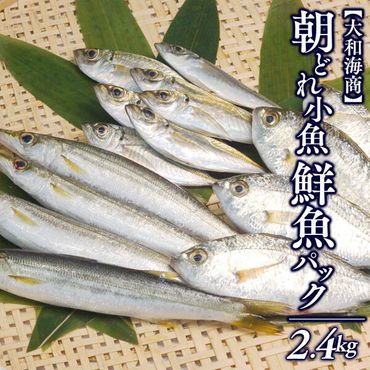 【単月お届け】大和海商の朝どれ鮮魚小魚パック 2.4kg N072-A2229
