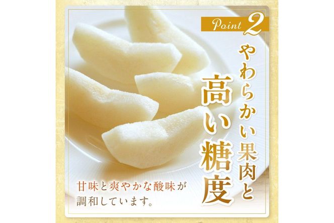 【先行予約／数量限定150】京丹後産 新興梨 5kg（8～14玉入り）（2026年10月中旬～発送）　JA00080