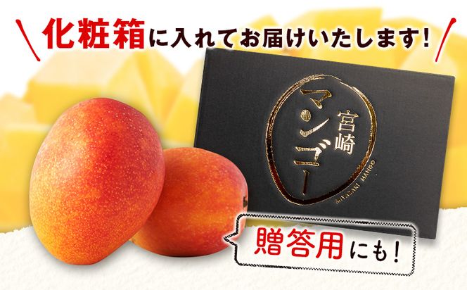 宮崎特産品 宮崎県産完熟マンゴー 太陽のタマゴ 2L×2個_M275-004（宮崎