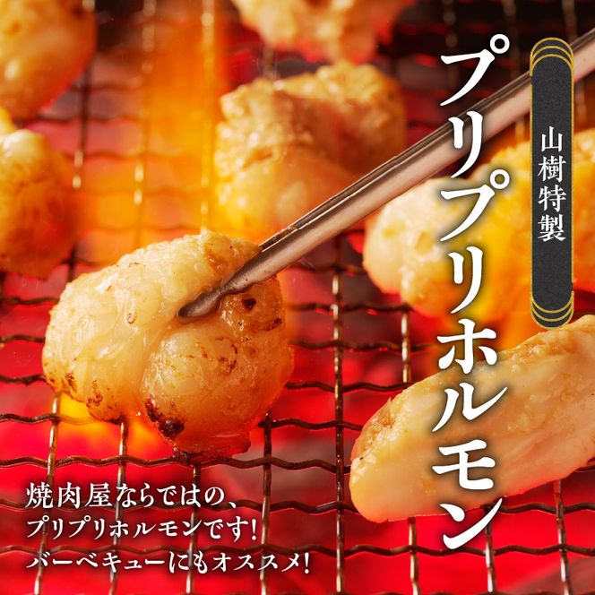 山樹の国産牛とろホルモン焼き（味付/タレ）　600g [047R17]