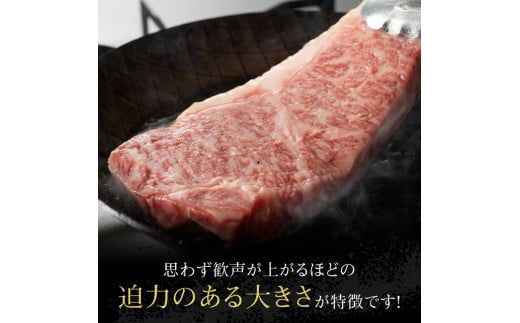 牛肉 宮崎牛ワンポンドステーキ454ｇ 【 肉 牛肉 A4～A5等級 宮崎牛 BBQ アウトドア 記念日 日本ハム 焼肉 】 [E11006]