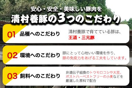 バラしゃぶしゃぶ 600g 清村養豚《60日以内に出荷予定(土日祝除く)》肉 豚 豚肉---sm_fkybsyab_60d_22_10000_600g---