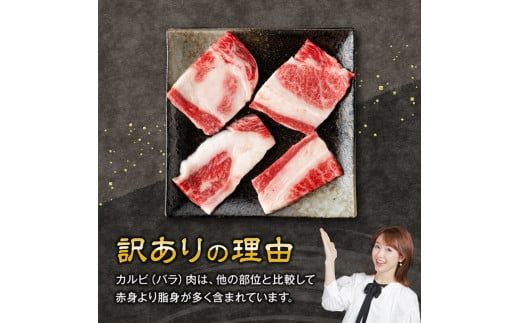 ※発送時期が選べる※【訳あり】 宮崎牛 カルビ（ バラ ） 焼肉 500g 【 肉 牛肉 焼肉 BBQ 焼き肉 焼くだけ おかず 簡単調理 】 [E11137]