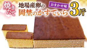 焼き立て！地場産卵の岡埜のかすてぃら3斤（おまかせ味）かすてら カステラ 地場産 卵[AS009ci]