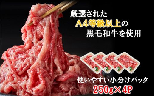 【A4～A5等級】小分けで便利！ おおいた和牛 切り落とし 1kg (250g×4P)_2436R