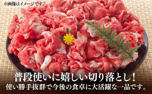 【訳あり】博多和牛切り落とし 1.5kg(500g×3p）《築上町》【MEAT PLUS】肉 お肉 牛肉 赤身[ABBP019]
