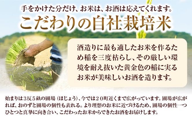 賀茂緑 別醸パック 別醸 1800ml × 6本《30日以内に出荷予定(土日祝除く)》丸本酒造株式会社 岡山県 浅口市 熱燗 冷酒 酒 送料無料---124_678_30d_24_42000_6---