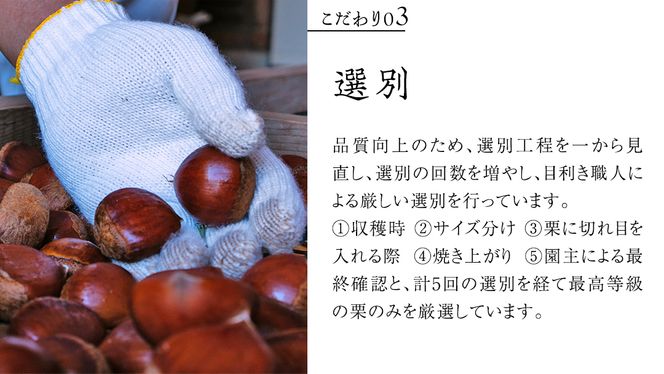 庄七農園 厳選『 最高等級 』氷蔵熟成 焼き和栗 1kg 10月下旬発送開始 茨城 お取り寄せ 茨城県産 栗 くり 焼栗 おやつ スイーツ 茨城 和栗 美味しい 果物 フルーツ 庄七農園 [BK16-NT]