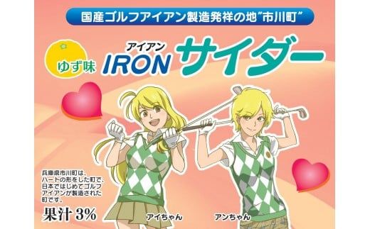 015KK01N.アイアンサイダー（24本）