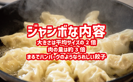 ジャンボ餃子5粒入りタレ付10個セット 惣菜 おかず　石川製麺