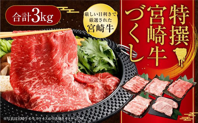 ＜特撰宮崎牛づくし(5種類)計3kg＞2025年2月より順次出荷します【c611_hn_x1】