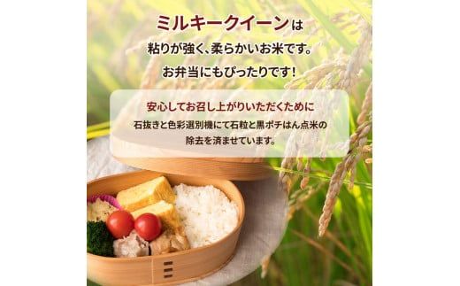 【先行予約】茨城県産 ミルキークイーン 精米8kg（2kg×4袋）｜ミルキークイーンは粘りが強くかつ柔らかいお米。冷めても美味しいもちもちなお米でお弁当にぴったり！ ※離島への配送不可　※2024年9月下旬～2025年8月上旬頃より順次発送予定