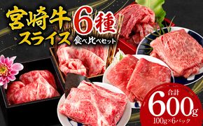 宮崎牛 スライス 6種 食べ比べ セット 合計600g_M132-043