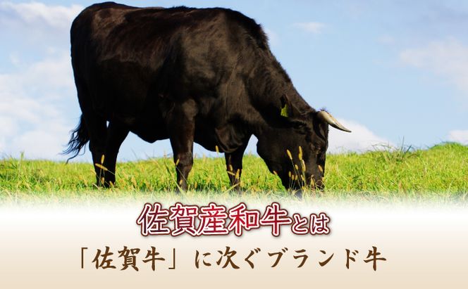 120g×10個 佐賀産和牛ハンバーグ D-607