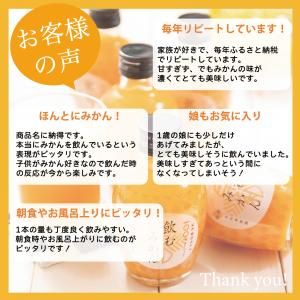 346.【早和果樹園】飲むみかん12本入（720ml）（A346-1）