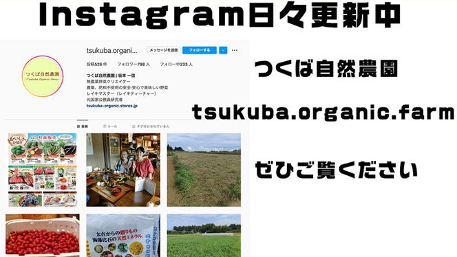 さつまいも ( 紅はるか ） 5kg 【 農薬・肥料不使用 】 土つき オーガニック 無農薬 高糖度 肥料不使用 自然栽培 スイーツ 焼き芋 天ぷら スイートポテト 秋 べにはるか 食物繊維 [CW03-NT]