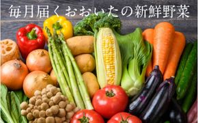 毎月お届け!おおいたの旬野菜4月から半年間定期便/計6回発送_1775R