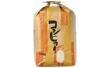 【輪島のお米】町野町産コシヒカリ10kg（精米）