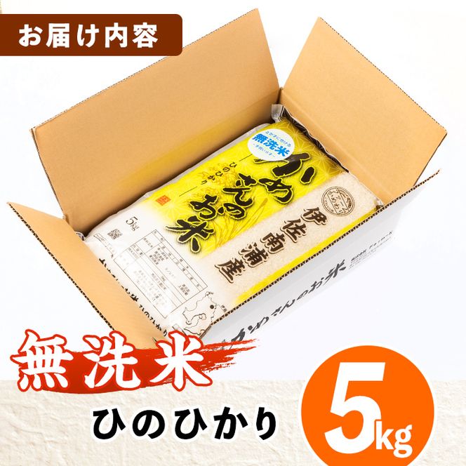 isa278 《数量限定》かめさんのお米(5kg・ひのひかり・無洗米) 令和5年産 山間の地区でしかできないこだわりの伊佐米【Farm-K】