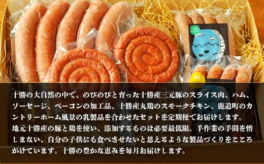 北海道十勝もりもり定期便（12ケ月） SKD014