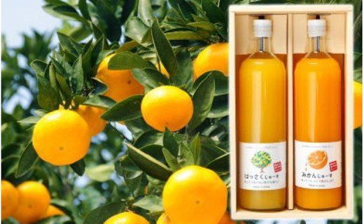和歌山みかんジュース2種類セット（750ml×2本入）果汁100％無添加ストレート
