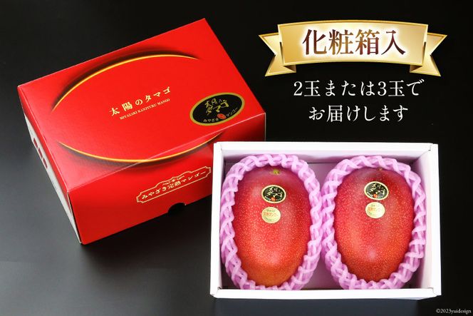 【2026年夏発送】 宮崎 完熟 マンゴー 太陽のタマゴ 秀品 900g以上 [宮崎県農業協同組合日向地区本部（販売課） 宮崎県 日向市 452060664] 果物 フルーツ 完熟マンゴー 甘い 日向 期間限定 冷蔵