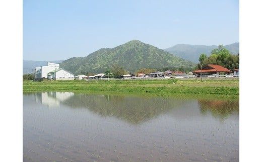 C020 特別栽培米阿東産コシヒカリ玄米30kg