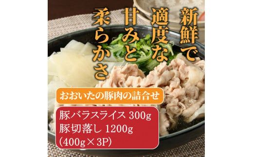 大分県産豚わんぱく元気セット2.6kg_1827R