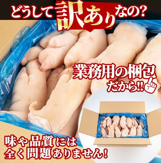 【大容量:1.6kg】 大好評珍味　前浜するめS足 ダイエットにも最適な大好評珍味 前浜するめS足【大容量1.6kg】