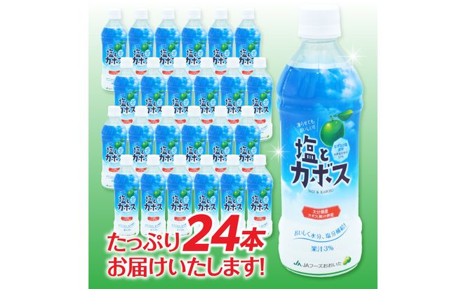 【I02059】塩とカボス　495ｍｌ×24本