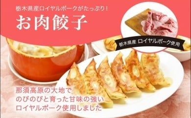 「宇都宮餃子館」お肉餃子 960ｇ（４８個）≪ギョーザ 冷凍餃子 冷凍食品 グルメ 食品 惣菜 中華惣菜 点心 中華≫◇