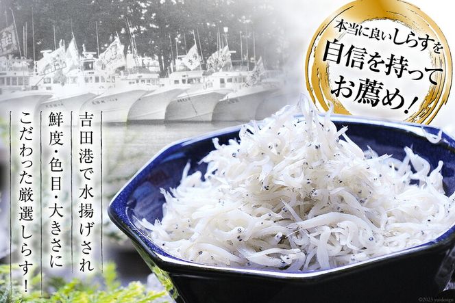 駿河湾産 しらす干し100g×3 釜上げしらす120g×3 [マルあ水産 静岡県 吉田町 22424639] 魚 海鮮 しらす 白子 シラス 天日 じゃこ 小分け おじゃこ しらす干し