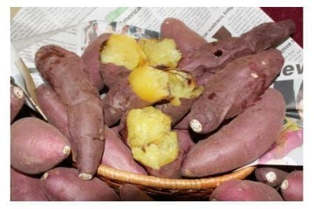 石焼きいも「紅はるか」 糖度40度以上 九州産さつまいも【八豊】_HA0492