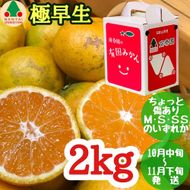ちょっと 傷あり 極早生 有田 みかん M～SS サイズ 2kg 手さげ箱 南泰園 和歌山 有田みかん BS620