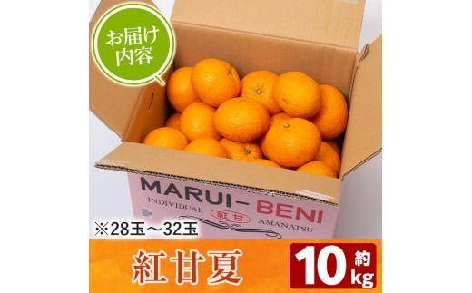 ＜先行予約受付中！2025年2月より順次発送予定＞数量限定！鹿児島県産紅甘夏みかん(約10kg・28玉～32玉)国産 果物 フルーツ【鹿児島いずみ農業協同組合】a-13-43