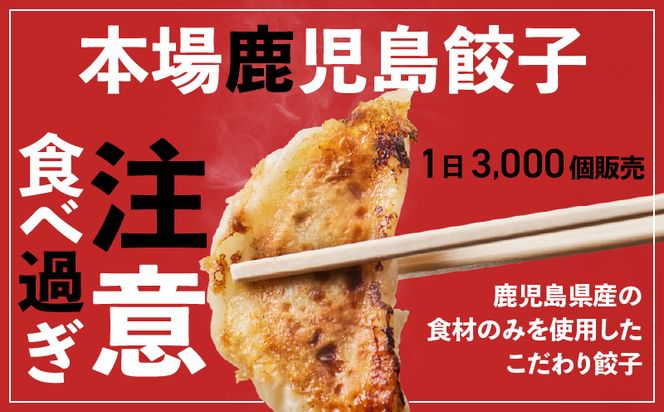 鹿児島人気餃子店のお得な餃子食べ比べセット　K118-001