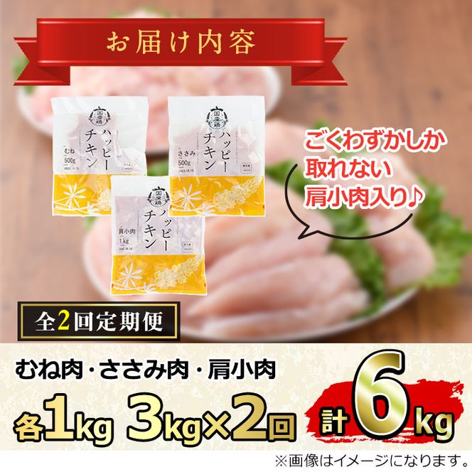 【0154804b】＜定期便・全2回＞少量パック！国産若鶏肉ヘルシーセット(計6kg・3kg×2回) 鶏肉 鳥肉 とり肉 むね肉 おかず 小分け 国産【エビス】