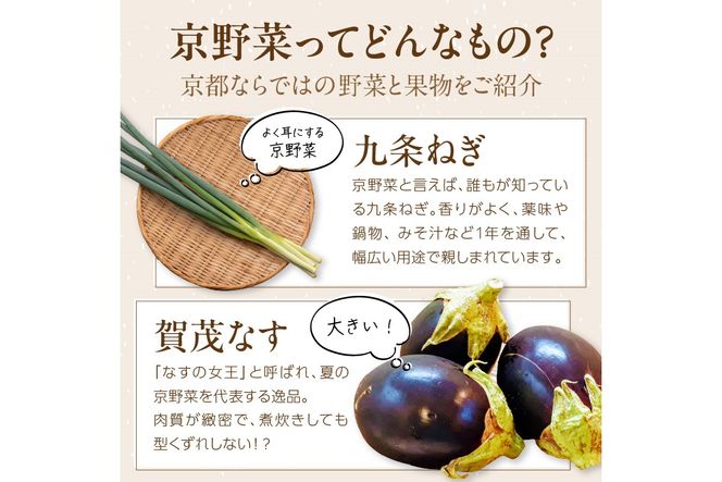 【定期便4回】直売所直送 「京都・京丹後産 季節の野菜」お任せ詰め合わせBOX（5品） 春夏秋冬定期便4回 食べ方・レシピ付き　JA00058