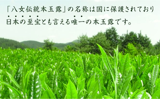 【全6回定期便】奥八女星野村 八女茶 伝統本玉露[50g]×1袋《築上町》【株式会社ベネフィス】[ABDF113]