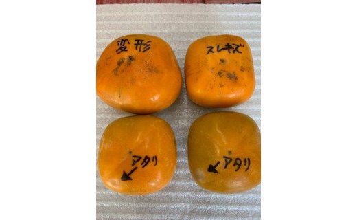 たねなし柿 家庭用 約7kg（サイズミックス） CC39